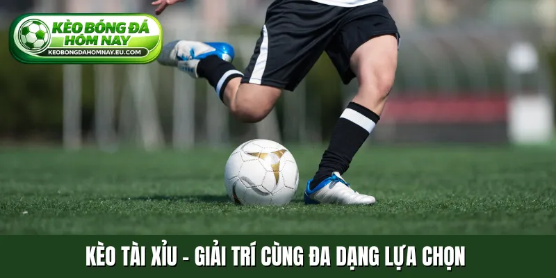Kèo tài xỉu