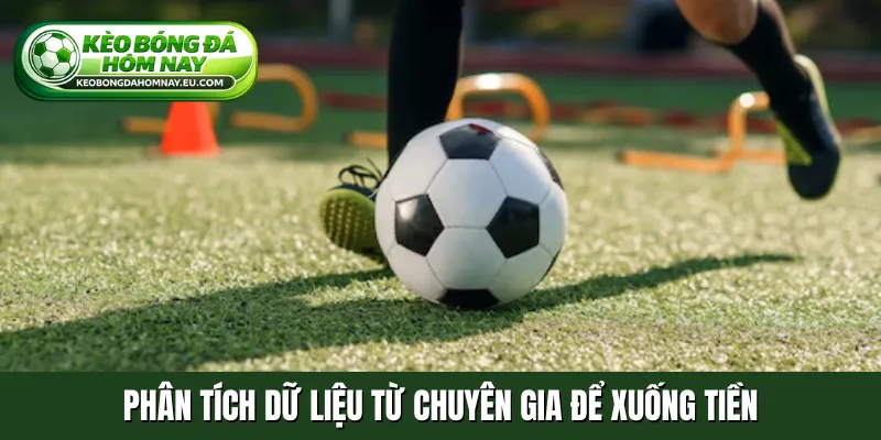 Phân tích dữ liệu từ chuyên gia để xuống tiền