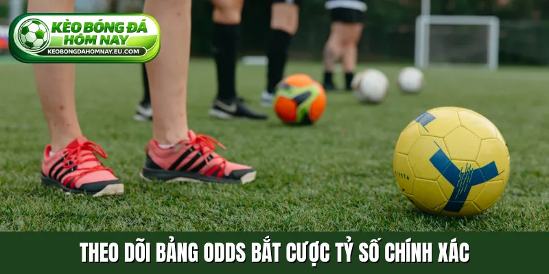 Theo dõi bảng odds bắt cược tỷ số chính xác